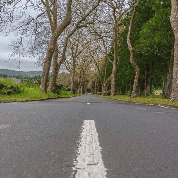 Caminho sem fim