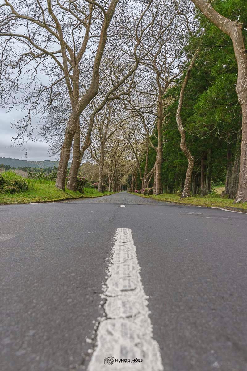 Caminho sem fim