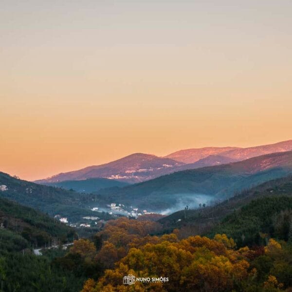 Paisagem Onírica