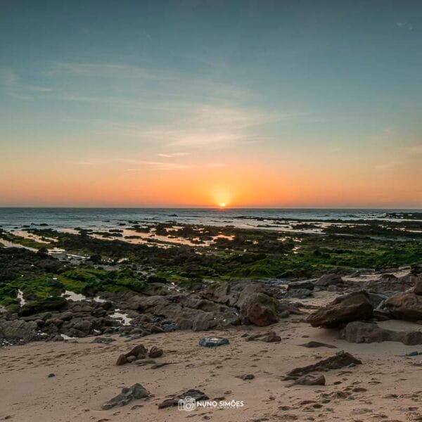 Tranquilidade à Beira Mar