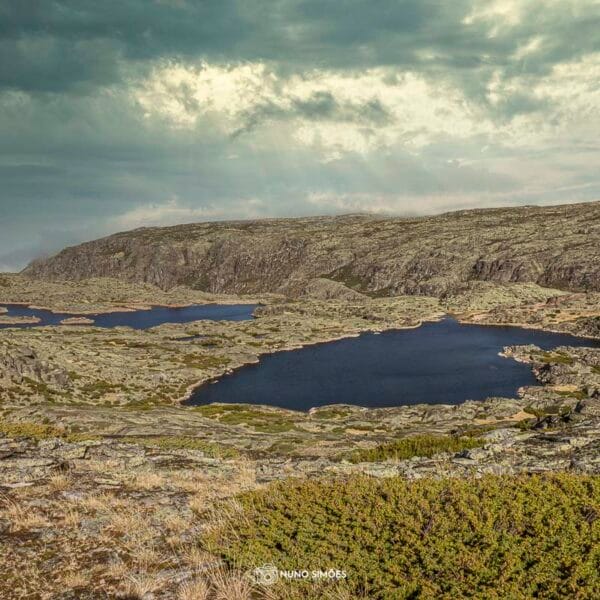 Lagoas na Paisagem