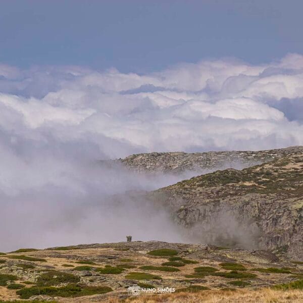 Entre Nuvens e Rochas