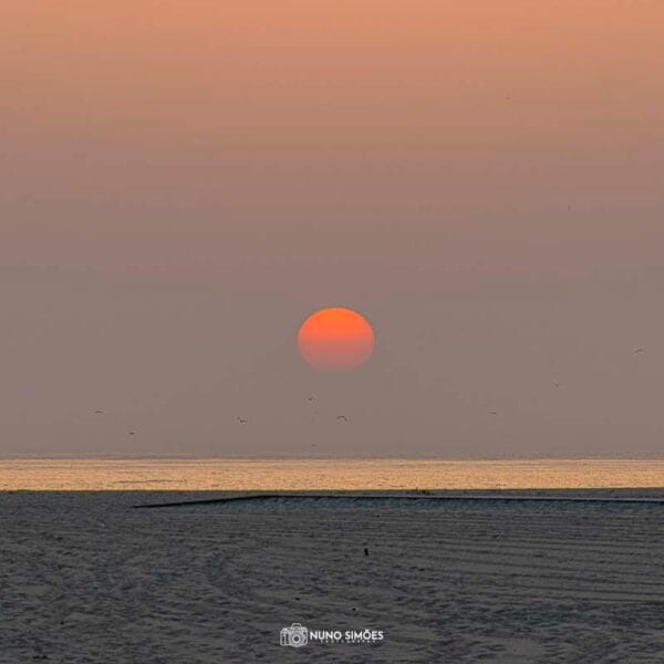 O Sol Beijando o Mar