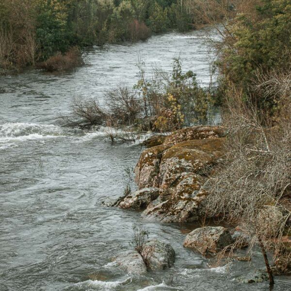 Paisagem Fluvial Rochosa