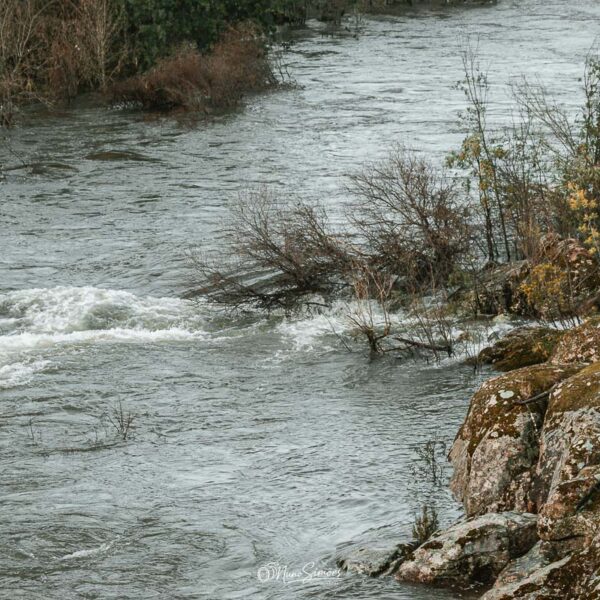 Turbulência Margem Rio