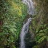 Natureza Selvagem Cascata