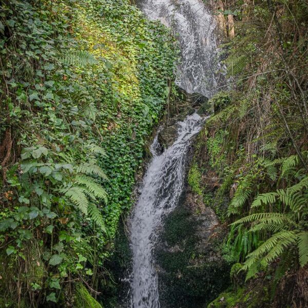 Natureza Selvagem Cascata
